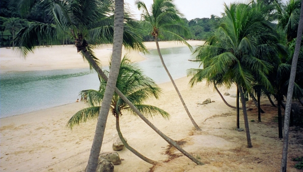 Zdjęcie z Singapuru - Sentosa Island
