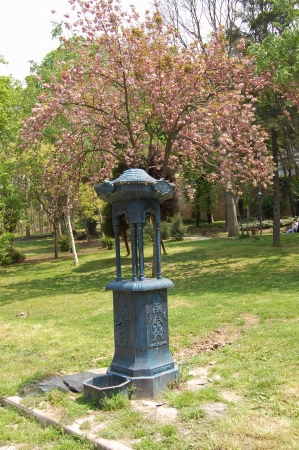 Zdjęcie z Turcji - Otopark
