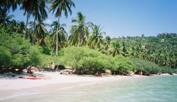 Zdjęcie z Tajlandii - Koh Tao