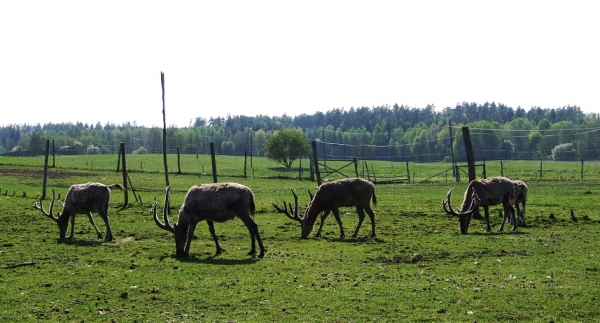 Zdjęcie z Polski - 