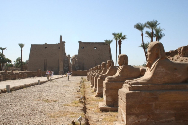 Zdjęcie z Egiptu - Luxor