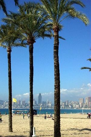 Zdjęcie z Hiszpanii - Benidorm