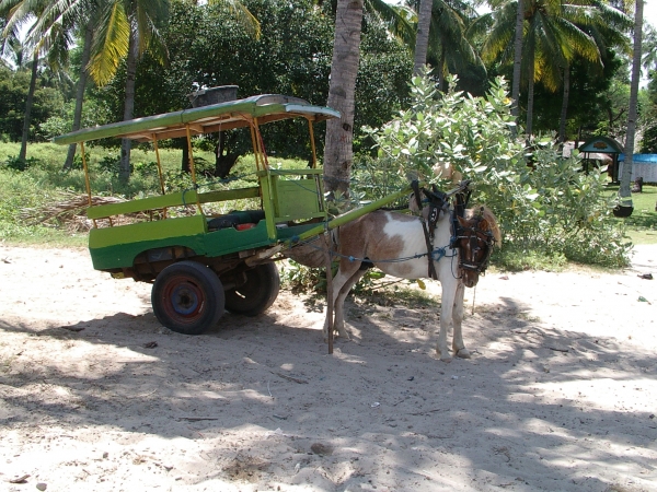 Zdjęcie z Indonezji - Gili Air