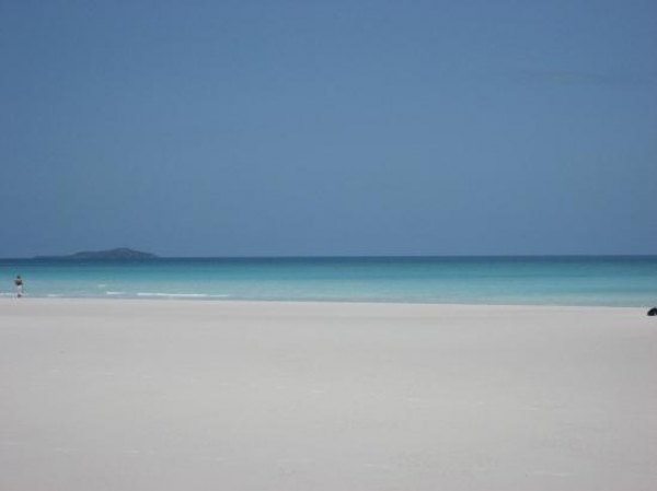 Zdjęcie z Australii - Whitsunday Island