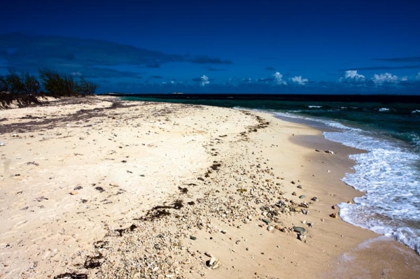 Zdjęcie z Turks i Caicos - 