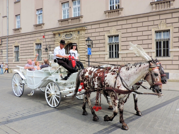 Zdjęcie z Polski - 