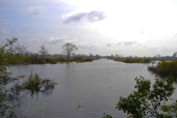 Zdjęcie z Kambodży - Rozlewiska rzeki Siem Reap River
