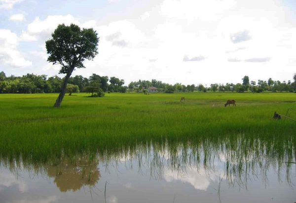 Zdjęcie z Kambodży - W drodze do Siem Reap