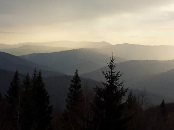 Zdjęcie z Polski - 