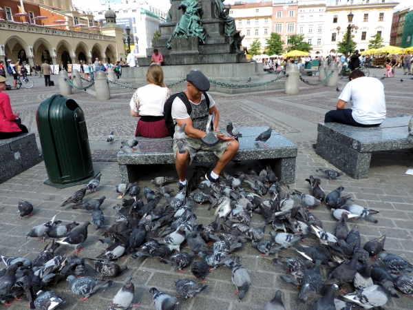 Zdjęcie z Polski - 