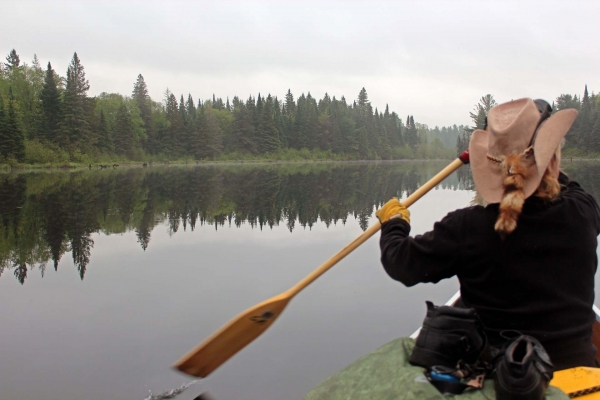 Zdjecie - Kanada - Algonquin Park