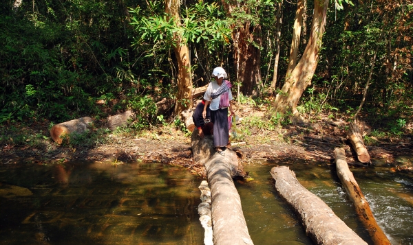 Zdjęcie z Kambodży - Phnom Kulen