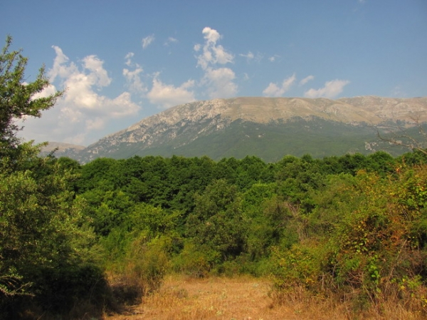 Zdjęcie z Macedonii - Szlak do źródeł Czarnego Drinu.