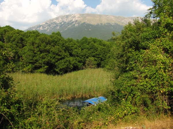Zdjęcie z Macedonii - Okolice źródeł Czarnego Drinu.