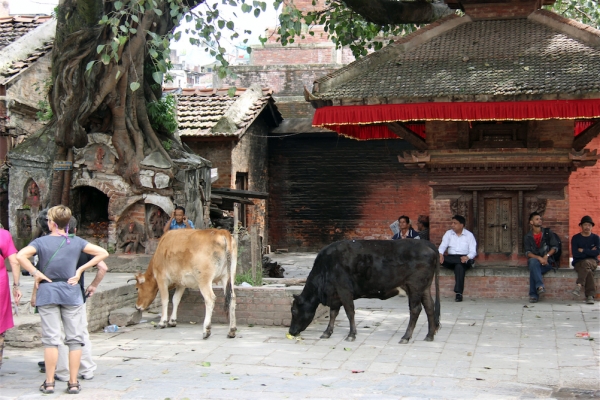 Zdjęcie z Nepalu - Durban Squere