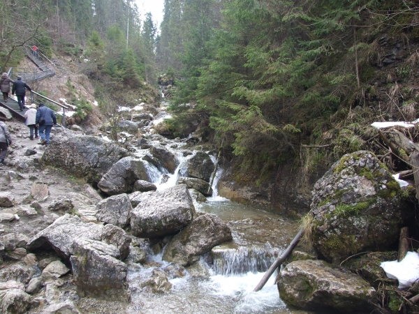 Zdjecie - Polska - Szczawnica