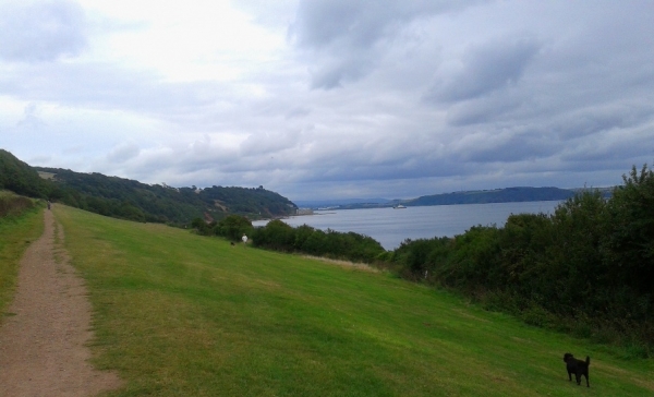 Zdjecie - Wielka Brytania - Cawsand~Kingsand 