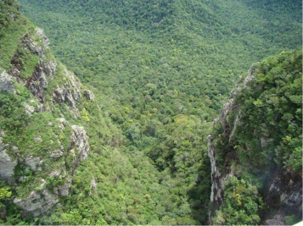 Zdjęcie z Malezji - Widok z Langkawi Cable Car