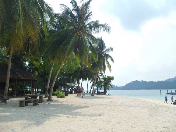 Zdjęcie z Malezji - Tanjung Sanctuary