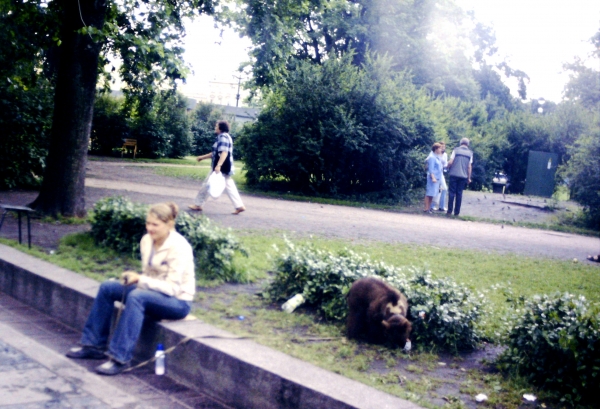 Zdjęcie z Rosji - to nie pies, interes się kręci