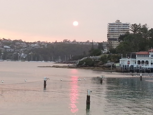 Zdjęcie z Australii - Manly Beach