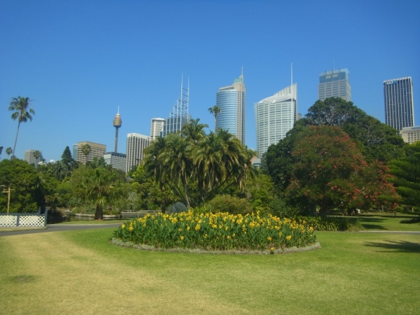 Zdjęcie z Australii - Centrum Biznesowe Panrama