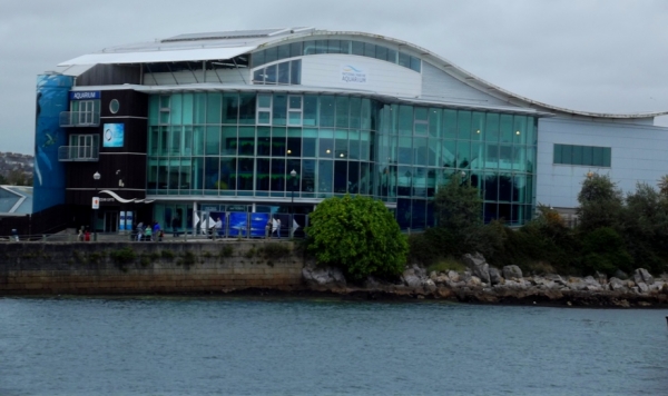 Zdjęcie z Wielkiej Brytanii - National Marine Aquarium w Plymouth