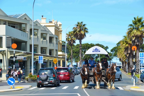 Zdjęcie z Nowej Zelandii - W Devonport