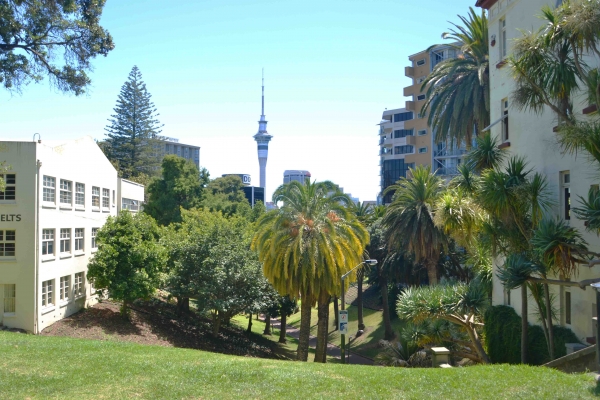 Zdjęcie z Nowej Zelandii - Auckland