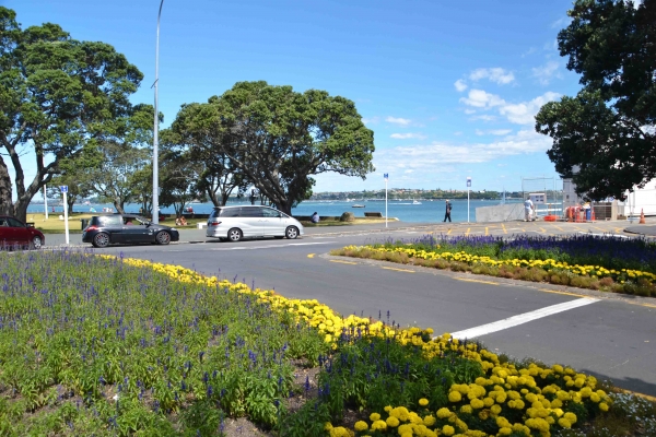 Zdjęcie z Nowej Zelandii - Devonport