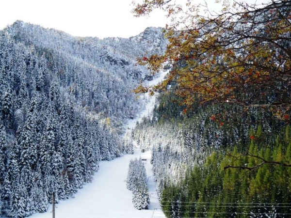 Zdjecie - Polska - Biały Dunajec/ Zakopane