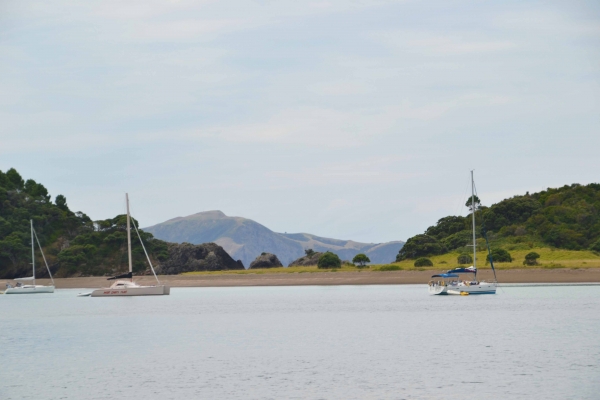 Zdjęcie z Nowej Zelandii - Bay of Islands