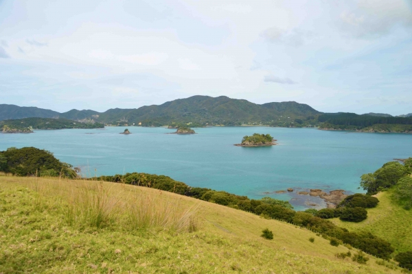 Zdjęcie z Nowej Zelandii - Bay of Islands