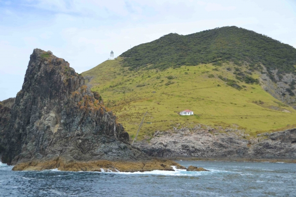 Zdjęcie z Nowej Zelandii - Stara latarnia morska i domek latarnika