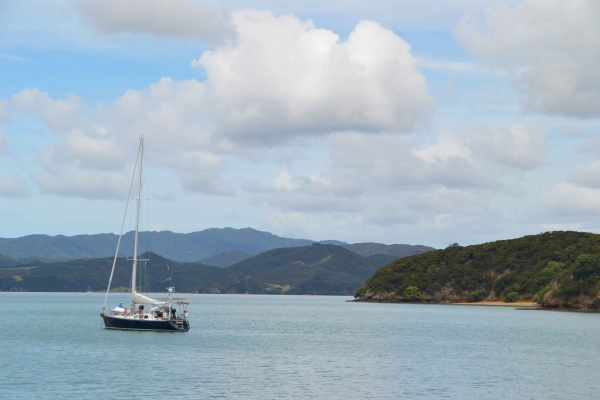 Zdjęcie z Nowej Zelandii - Bay of Islands