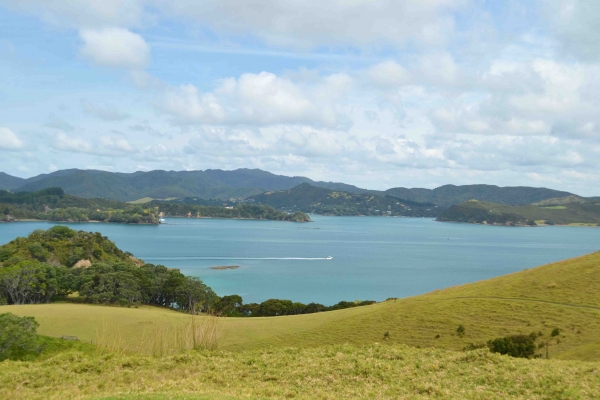 Zdjęcie z Nowej Zelandii - Bay of Islands
