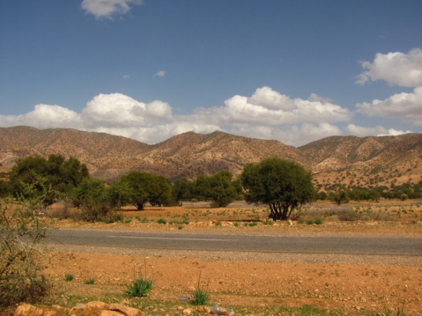 Zdjęcie z Maroka - Trasa Agadir - Taroudant.