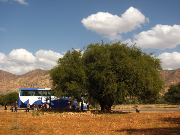 Zdjęcie z Maroka - Trasa Agadir - Taroudant.