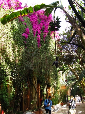 Zdjęcie z Maroka - Taroudant - hotel Salam.