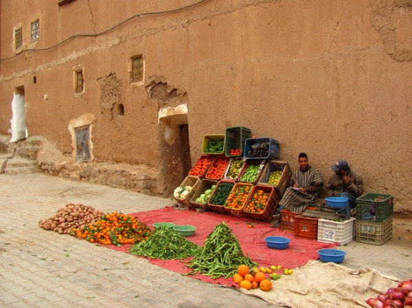 Zdjęcie z Maroka - Ksar w Warzazat.