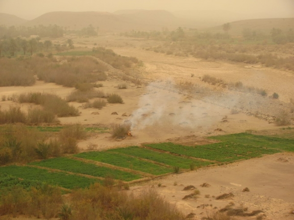 Zdjęcie z Maroka - Dolina Draa.