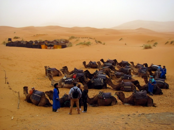 Zdjęcie z Maroka - Erg Chebbi.