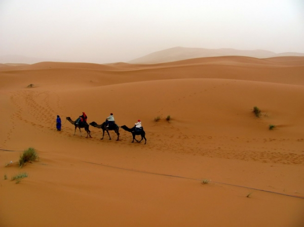 Zdjęcie z Maroka - Erg Chebbi.