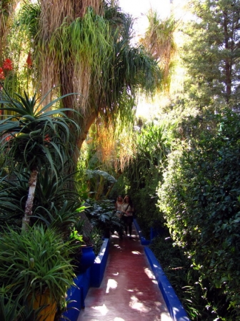 Zdjęcie z Maroka - Marrakesz - ogród Majorelle.