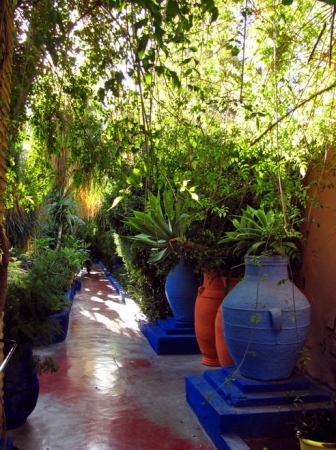 Zdjęcie z Maroka - Marrakesz - ogród Majorelle.