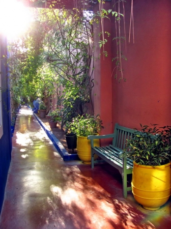 Zdjęcie z Maroka - Marrakesz - ogród Majorelle.