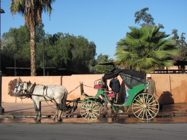 Zdjęcie z Maroka - Marrakesz - dorożka.