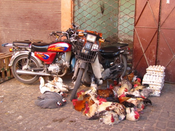 Zdjęcie z Maroka - Marrakeska medina.