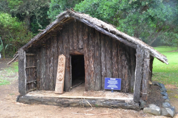 Zdjęcie z Nowej Zelandii - Maoryska chata z pni drzewiastych paproci - Waitangi Grounds