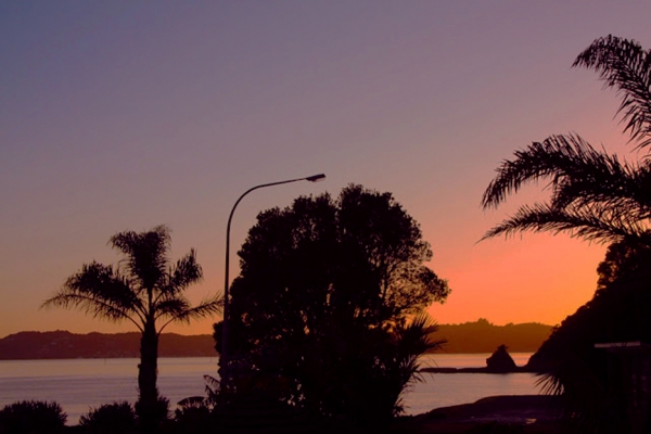 Zdjęcie z Nowej Zelandii - Swit w Paihia